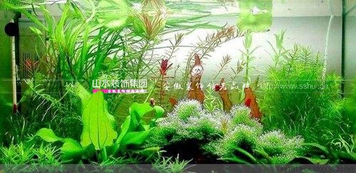 合肥装修